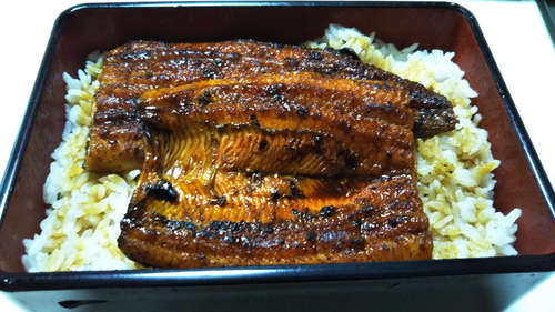 つきじ海賓(東大宮店)うな重 特上 ご飯大盛201907.jpg