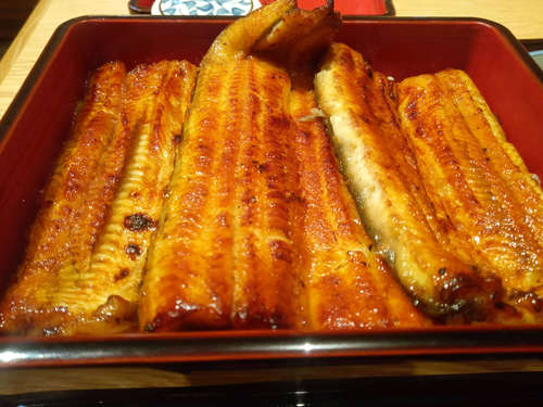 赤坂 富貴貫 BIZタワー店(赤坂/溜池山王)うな重 菊C202110.jpg