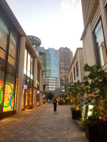 赤坂 富貴貫 BIZタワー店(赤坂/溜池山王)赤坂Bizタワー周辺A202110.jpg