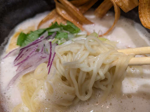 鶏soba 座銀(東京・丸の内)鶏soba 麺大盛C202506.jpg